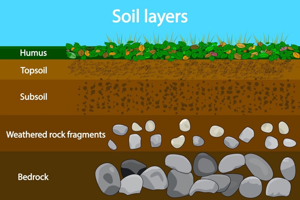 Types of Garden Soil you have
