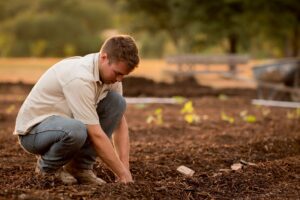 A Complete Beginner’s Guide to Garden Soil